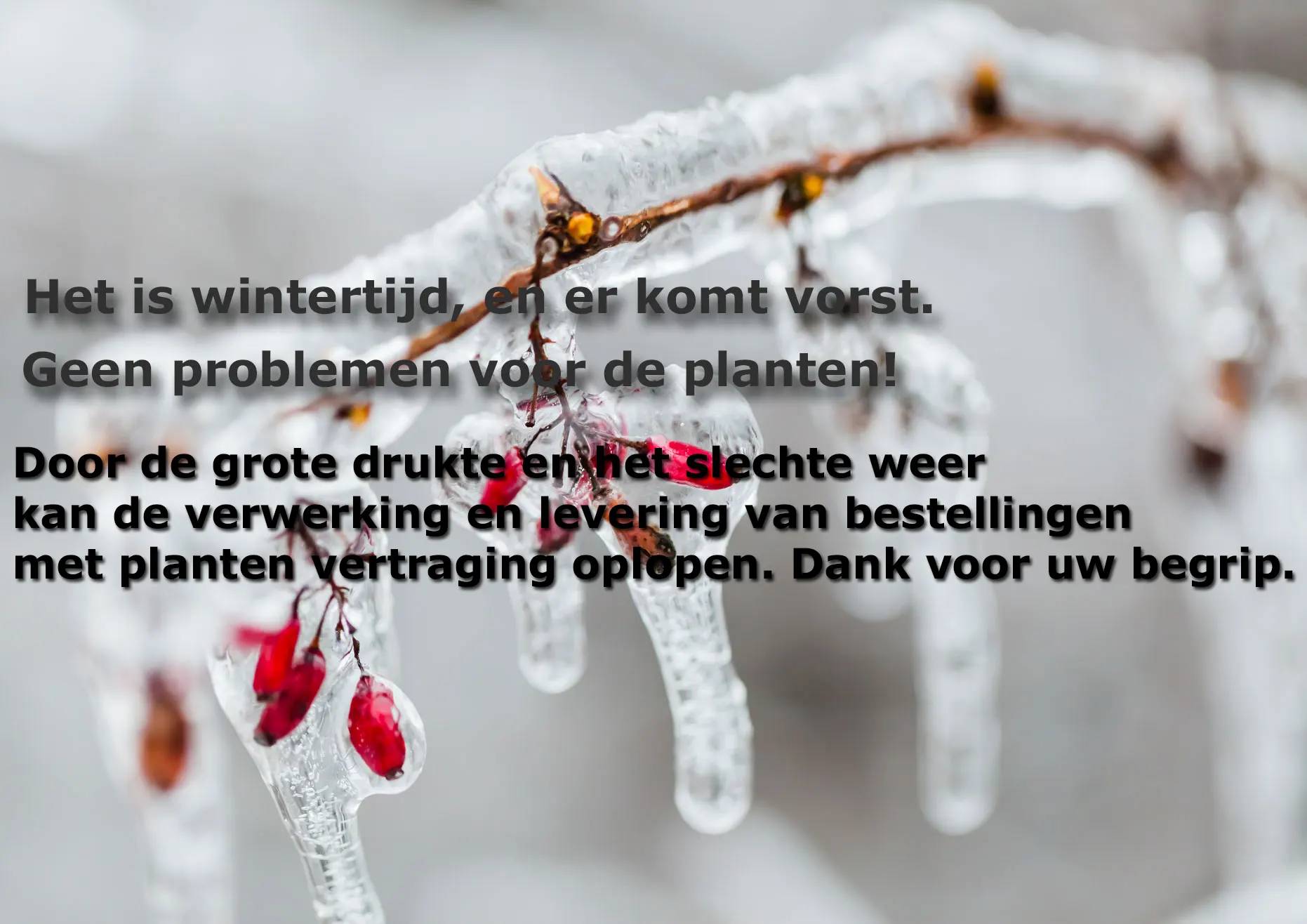 <br><br><br><br><br><br>