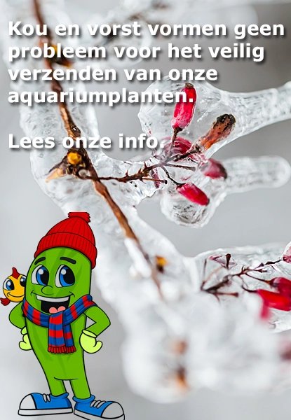 <br><br><br><br><br><br>