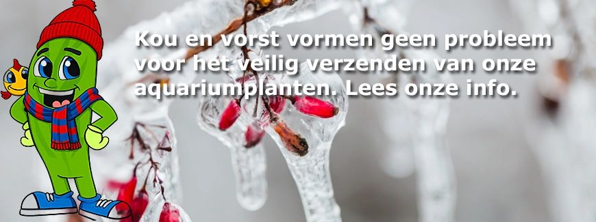 <br><br><br><br><br><br>