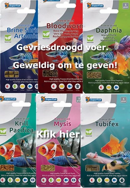 <br><br><br><br><br><br>