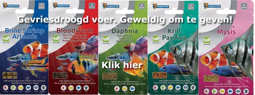 <br><br><br><br><br><br>