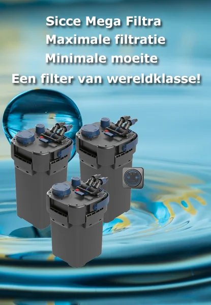 <br><br><br><br><br><br>