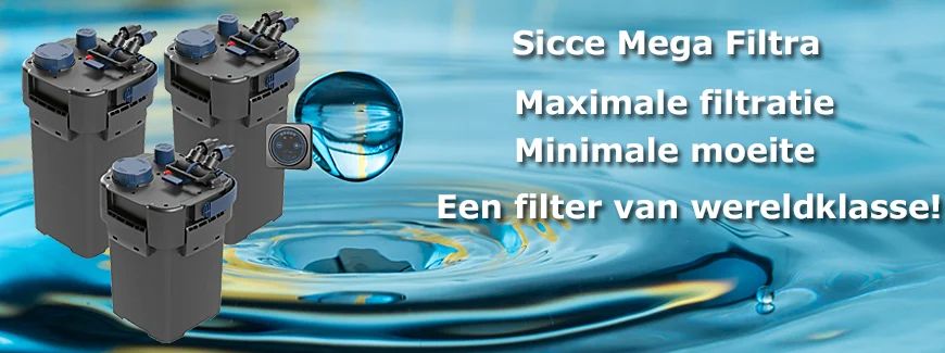 <br><br><br><br><br><br>