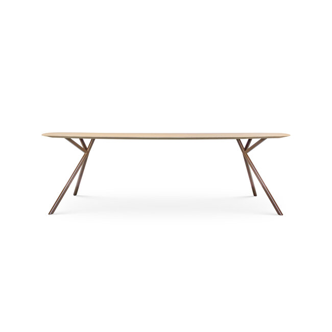 Hippestoelen  Eettafel Sen
