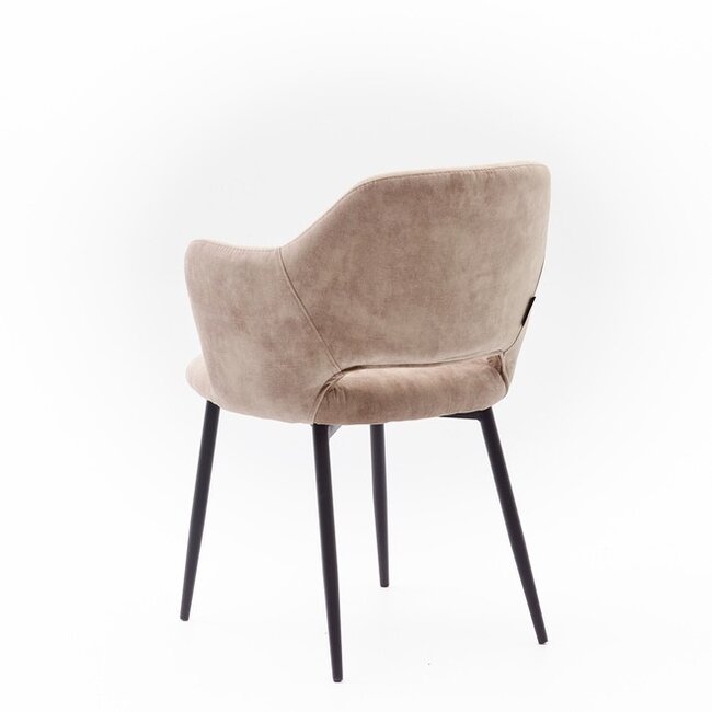 Eetkamerstoel Empoli | adore liver