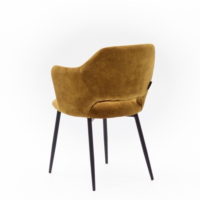 Geen Eetkamerstoel Empoli | adore Gold - Fix black