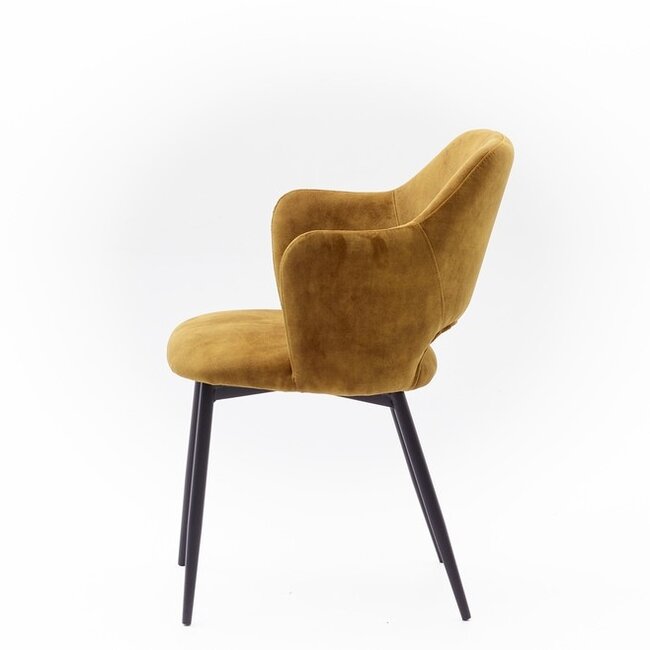 Eetkamerstoel Empoli | adore Gold