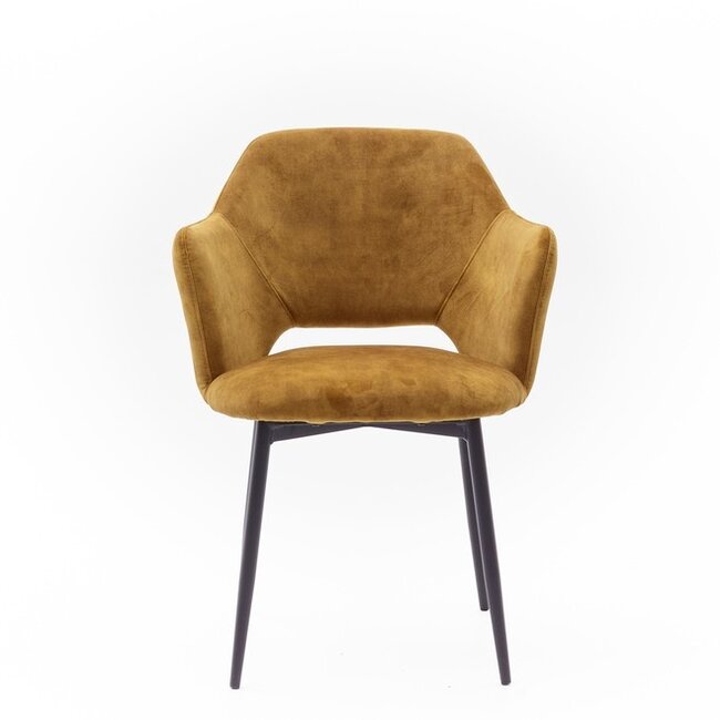 Geen Eetkamerstoel Empoli | adore Gold - Fix black