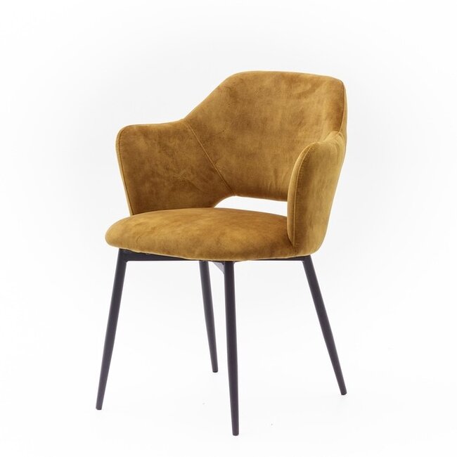 Eetkamerstoel Empoli | adore Gold