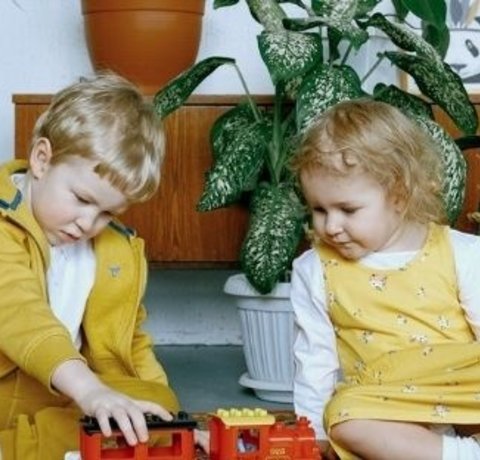 Kamerplanten in de kinderkamer