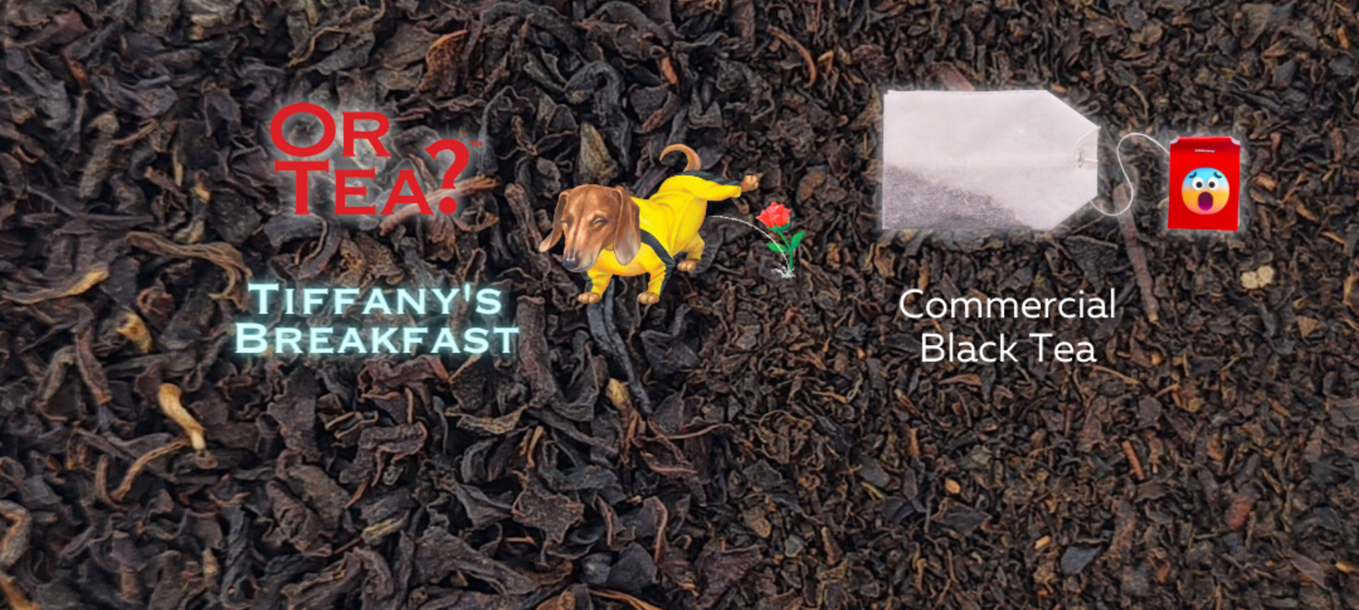 Whole Leaf Tea vs Dust Tea