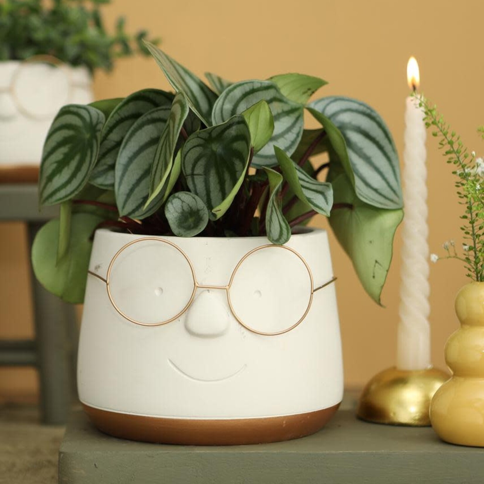 Bloempot met bril - Goud - Xtra Large (zonder plantje)