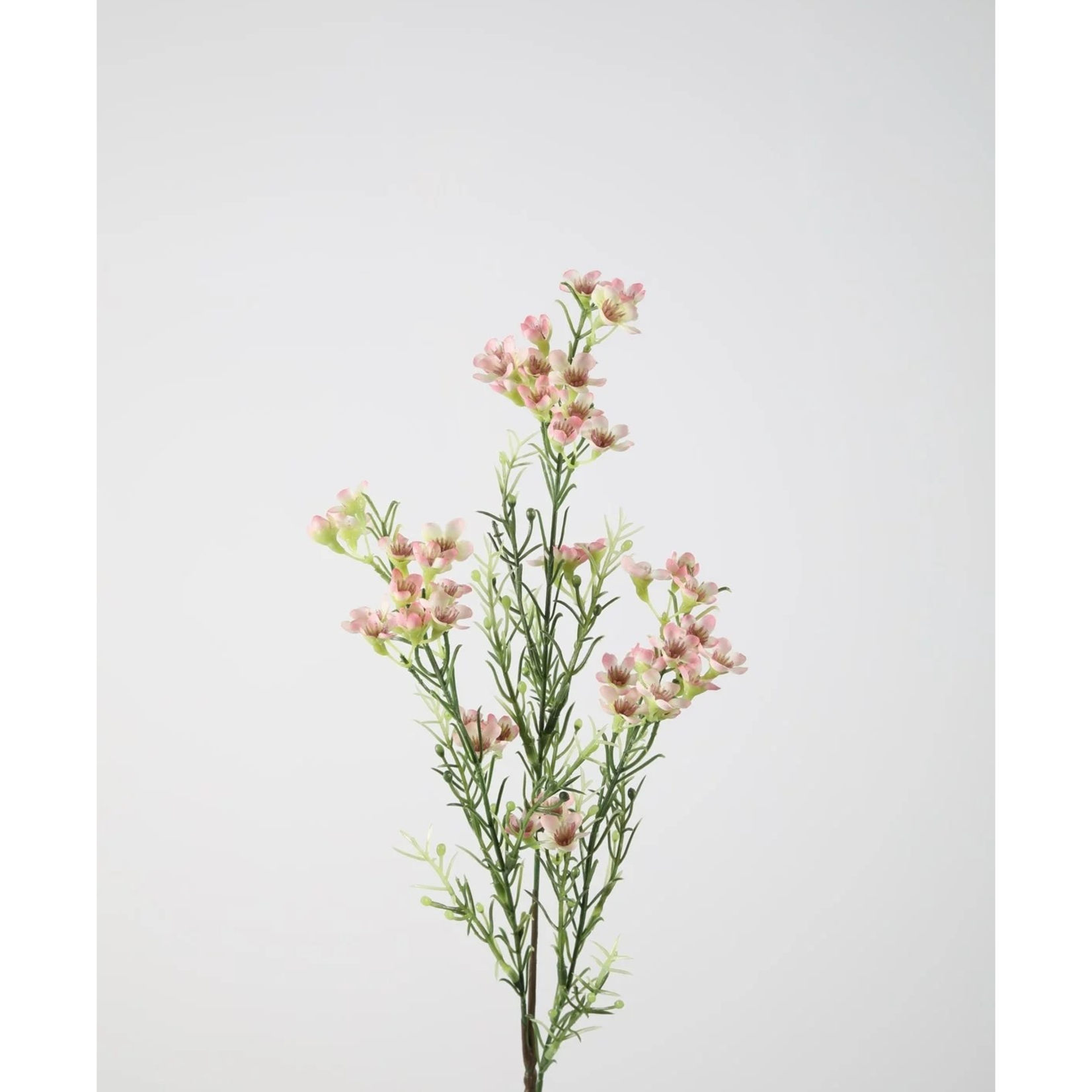 Kunstbloem - Wax flower spray - Roze - 65cm