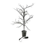 Boom ZERA - Donkerbruin - LED