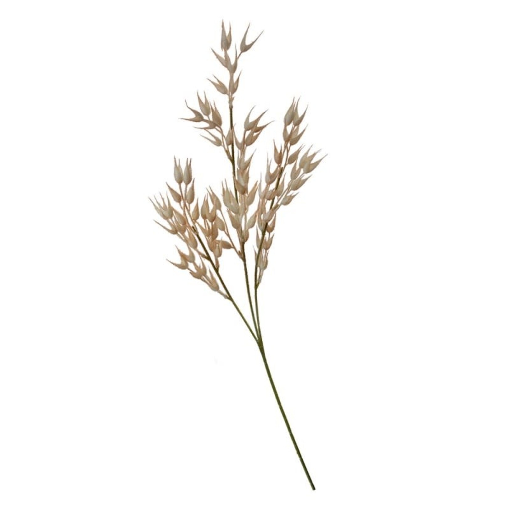 Kunstbloem - Decoratie tak - Kunststof - Beige - 15x2x72cm (5PL0061)