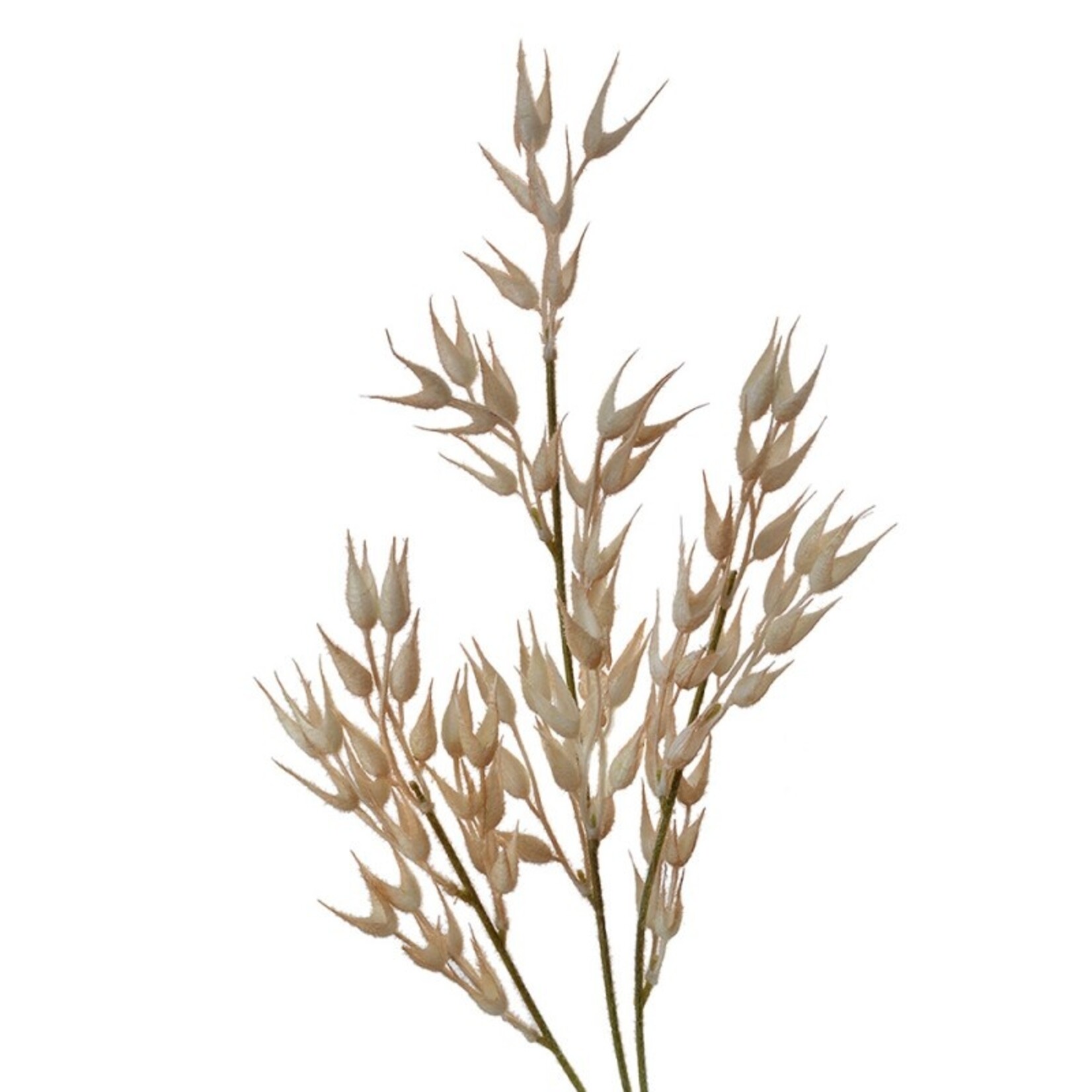 Kunstbloem - Decoratie tak - Kunststof - Beige - 15x2x72cm (5PL0061)