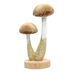 Countryfield Paddenstoel 2x PEJO - Lichtbruin - (L) Ø13 x 21,5cm