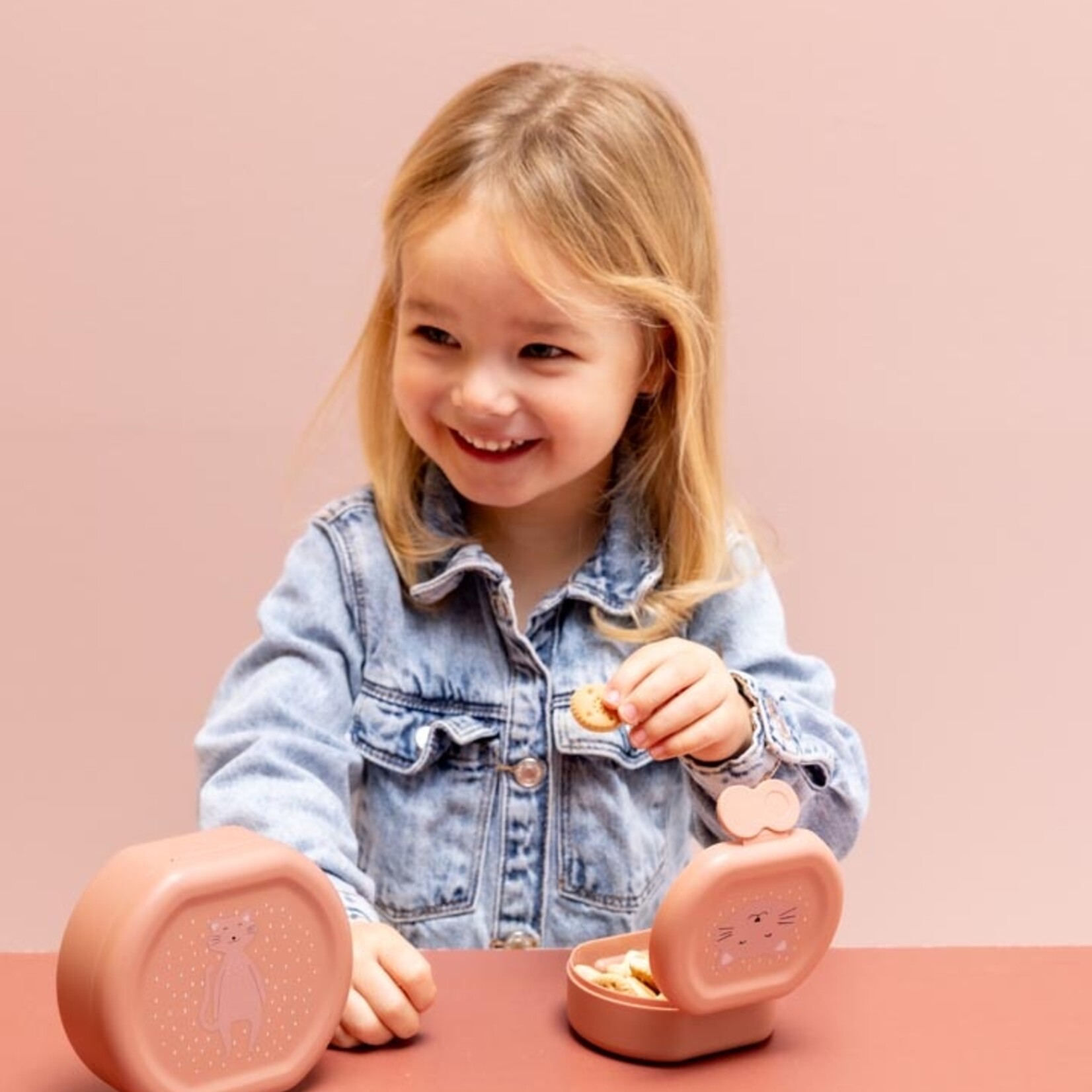 Snackbox Mrs. Cat - 100% PP - Roze - 11,5 x 10,5 x 4,5cm - Set van 2