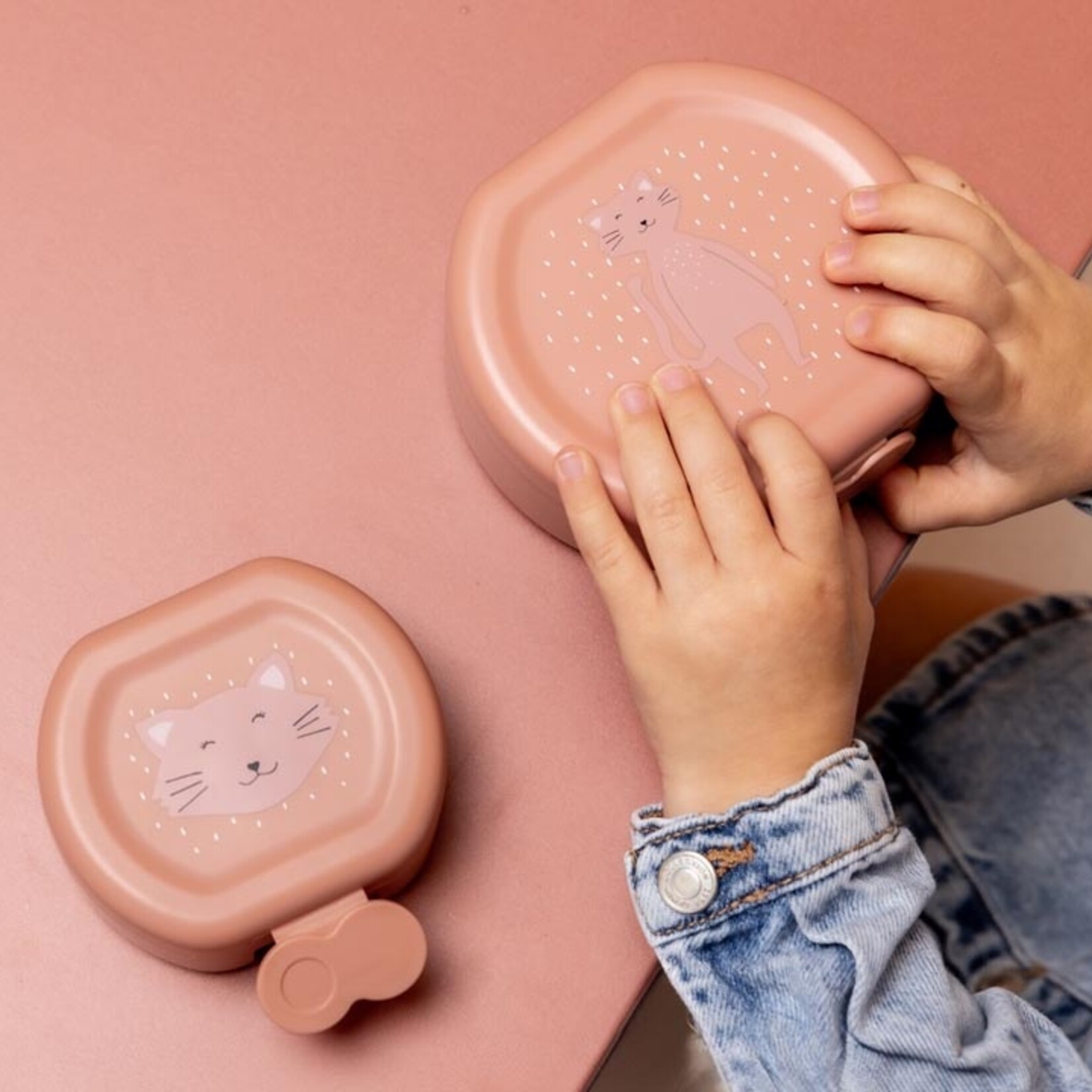 Snackbox Mrs. Cat - 100% PP - Roze - 11,5 x 10,5 x 4,5cm - Set van 2