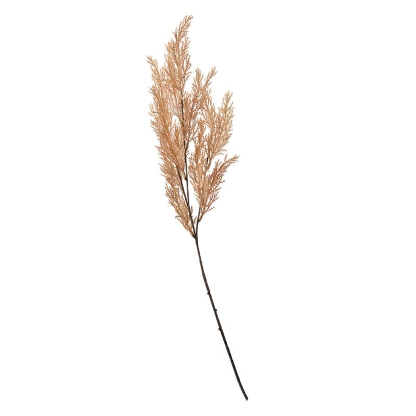 Kunstbloem "Pluim" - Beige - 75cm