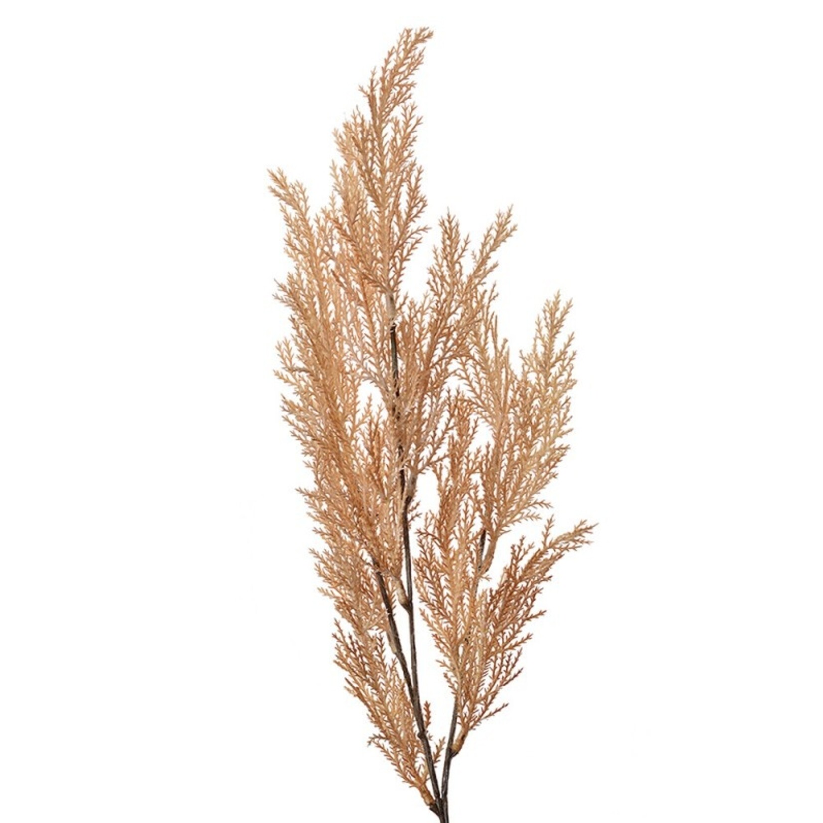 Kunstbloem "Pluim" - Beige - 75cm