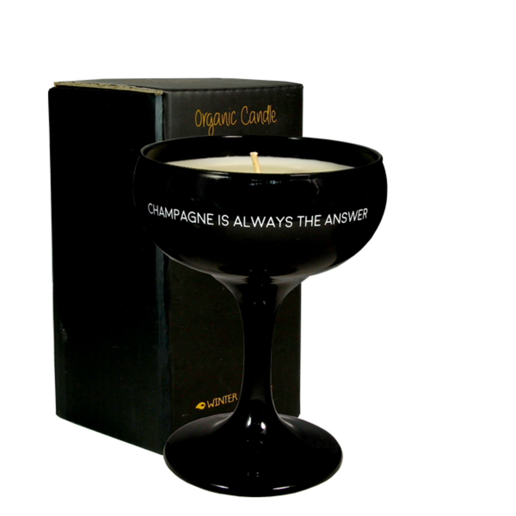 Sojakaars in champagneglas - Champagne is always the answer - Zwart - Warm Cashmere