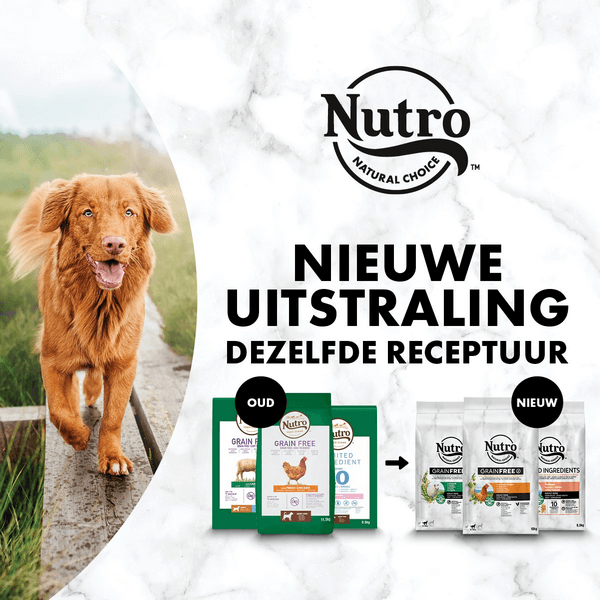 nutro grain free lamb