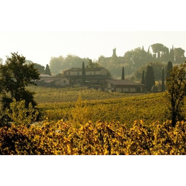 Poderi Boscarelli DOCG Nobile di Montepulciano 2020 - 2021