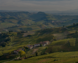 Barbaresco 2022 & Barolo 2021