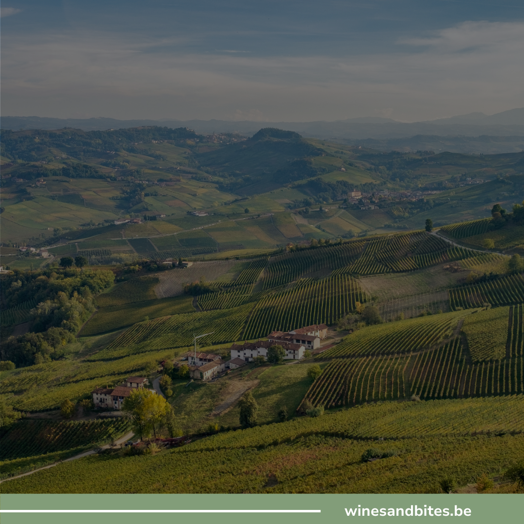 Barbaresco 2022 & Barolo 2021