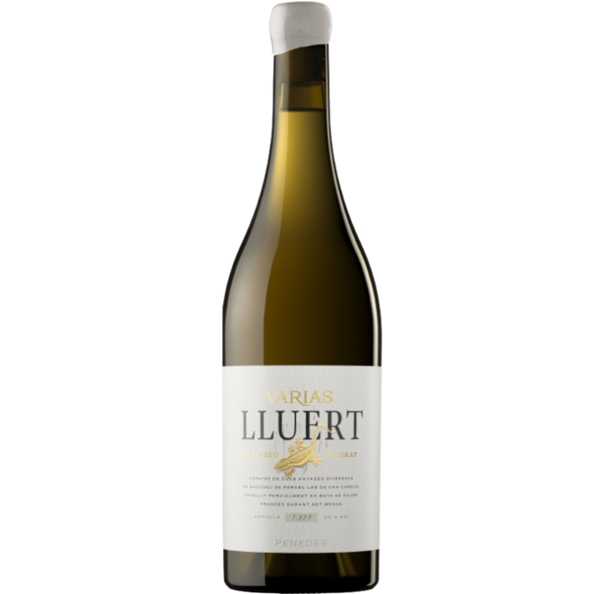 Cavas Varias DO Penedes Vi Blanc Lluert Blanc Due Años