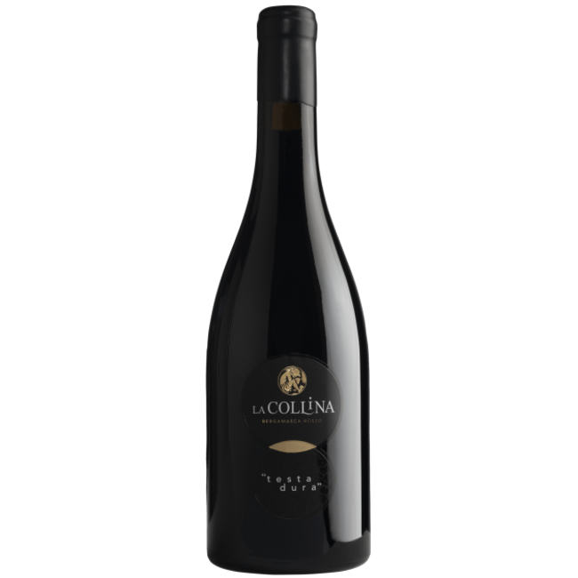 Vitivinicola La Collina IGP Bergamasca Rosso “Testa Dura” 2015