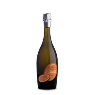 Alain Guillaume Champagne 1er Cru Brut Blanc des Blancs "Cuvée Emilia"
