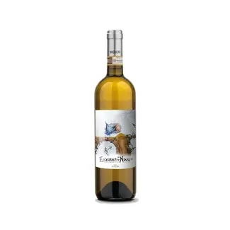 Azienda Agricola Livio Maccagno DOCG Roero Arneis "Excellence by Nikki" 2025