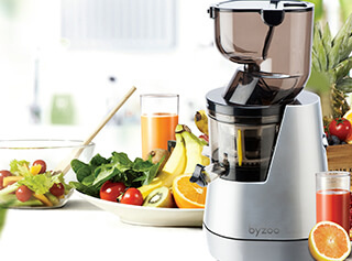 byzoo zebra slowjuicer