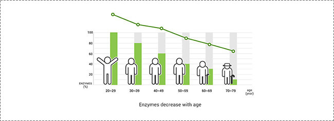 enzyme afname leeftijd