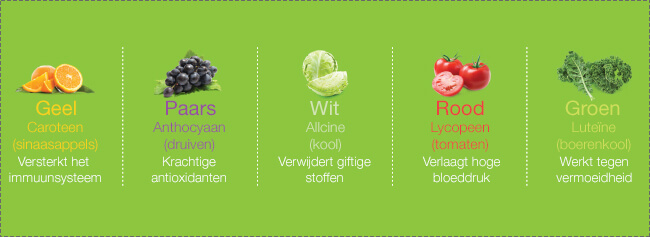 motto gloeilamp Interessant Welke groente en fruit zijn er? | Slowjuice.nl