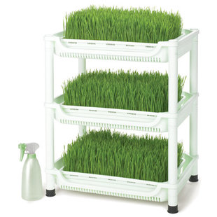 Sproutman Wheatgrass Grower