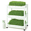 Sproutman Sproutman Tarwegras Kweker SM-300