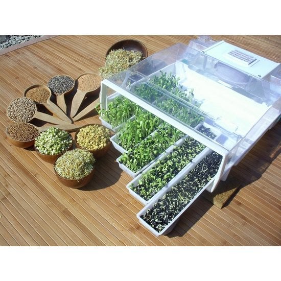 Easygreen Easygreen Kweeksysteem