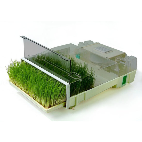 Easygreen Easygreen Growing Systeem