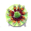 Easygreen Easygreen Kweeksysteem