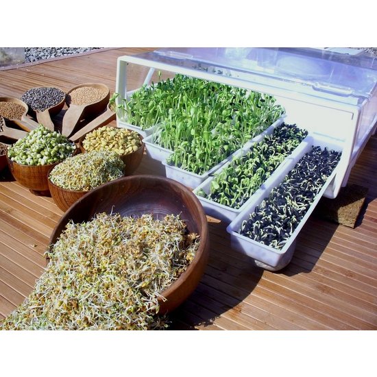 Easygreen Easygreen Kweeksysteem