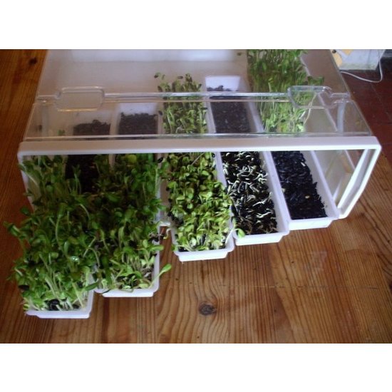 Easygreen Easygreen Growing Systeem