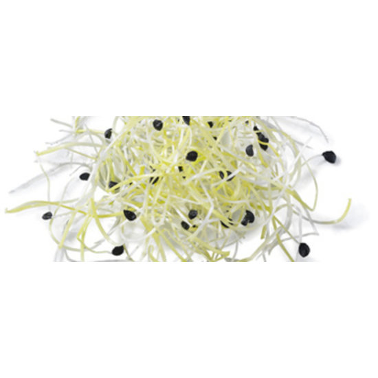 Germ'line Prei kiemzaad Germ'line 50gr