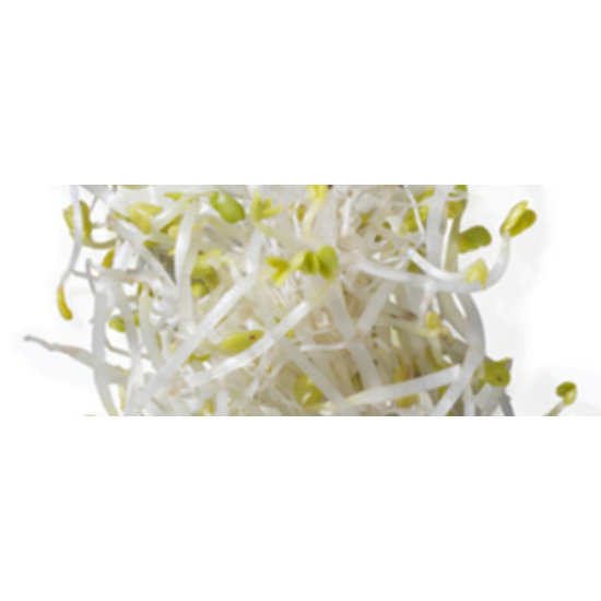 Germ'line Broccoli zaad  Rave Germ'line 150gr