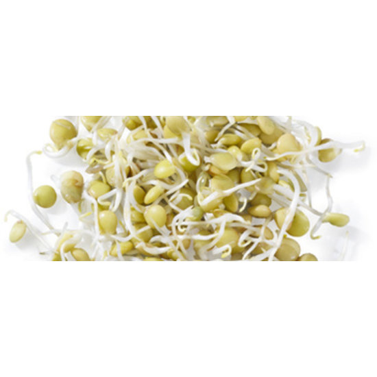 Germ'line Linzen zaad  Germ'line 150gr