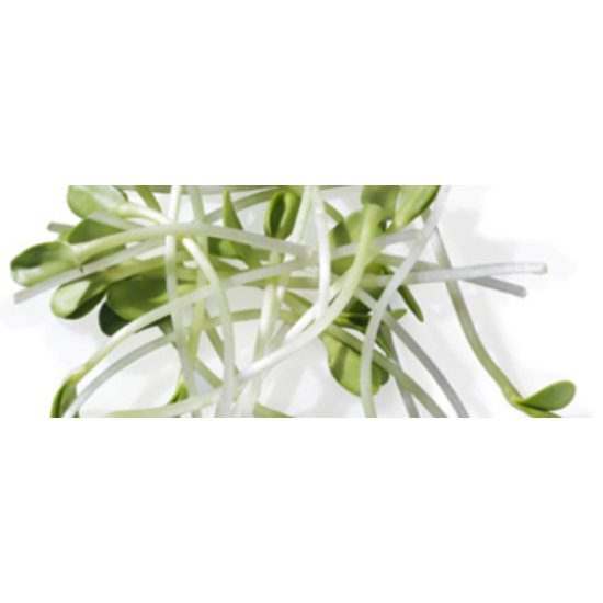 Germ'line Zonnebloem Germ'line 100gr