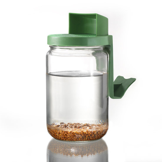 Germ'line Sprouting Glass Germ'line