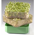 Germ'line Salad Sprouter Germ'line